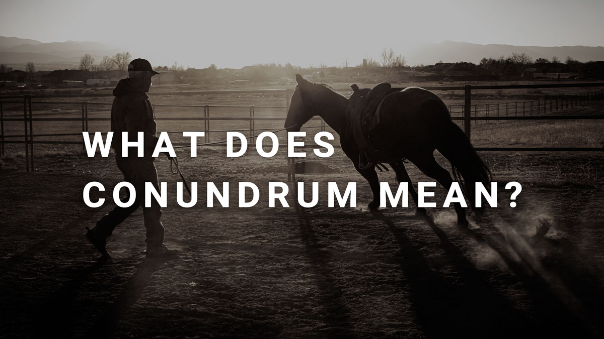What Does Conundrum Mean?